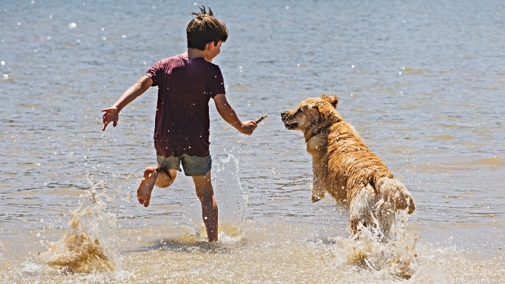 Central Coast Dog-Friendly Beaches