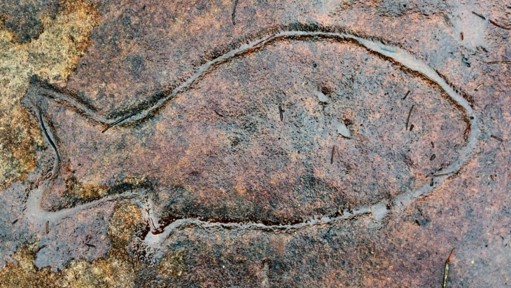 Aboriginal carvings