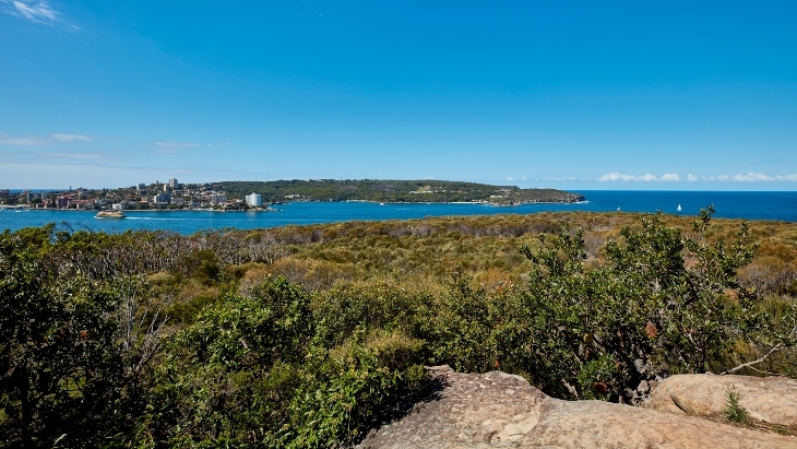 Manly to Spit Bridge Walk