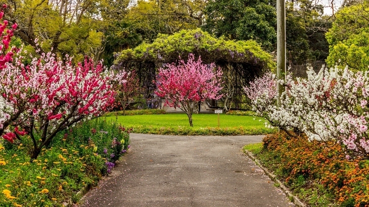 Wistaria Gardens Parramatta Park