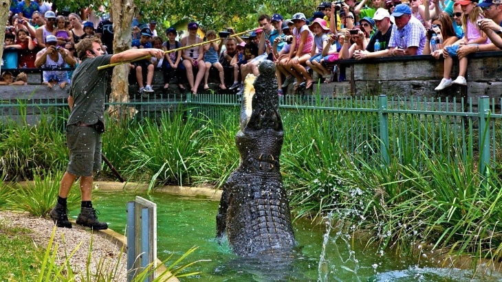 Australian Reptile Park