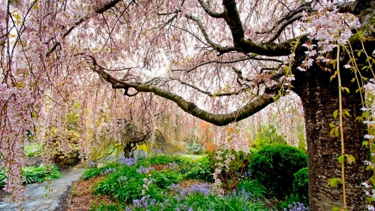 Blue Mountains Botanic Garden