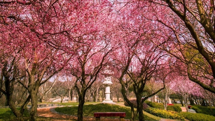 Canberra Nara Peace Park