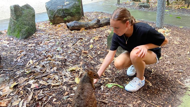 Hartleys Crocodile Adventures