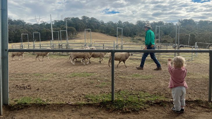 Calmsley Hill City Farm