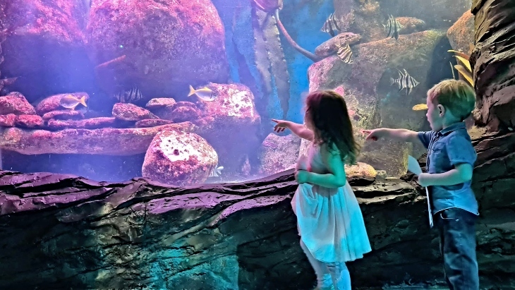 Cocomelon adventure SEA LIFE review