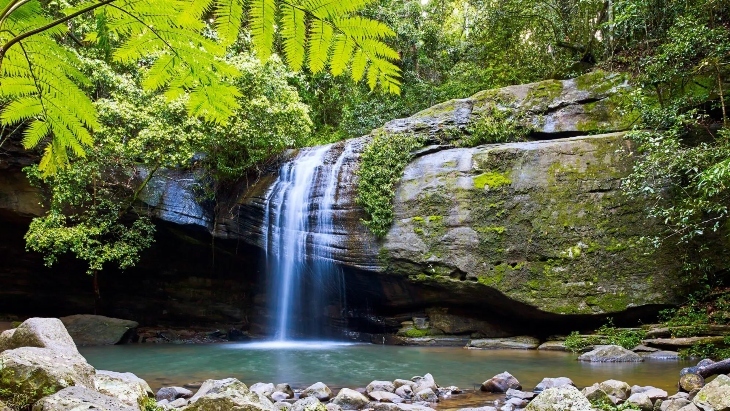 Waterfalls near Brisbane