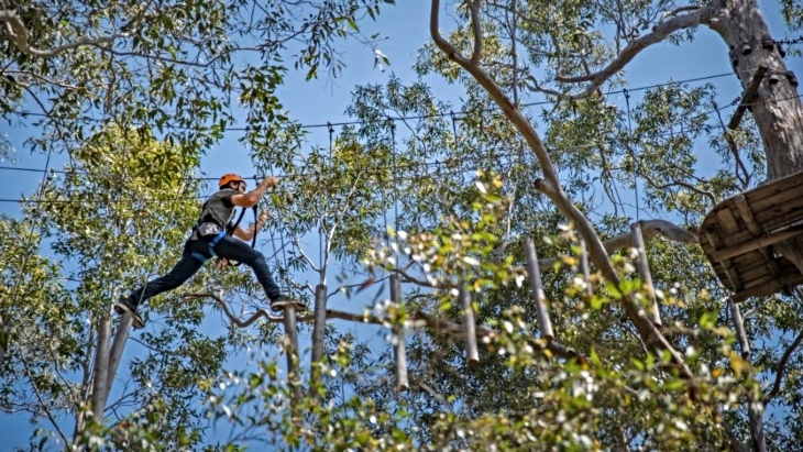 Treetops Adventure Park