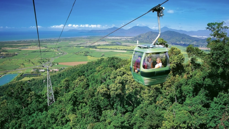 Treetops