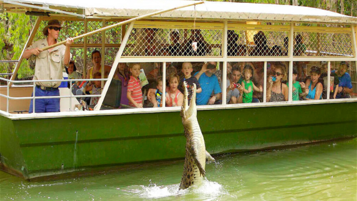 Hartleys Crocodile Adventures General Admission