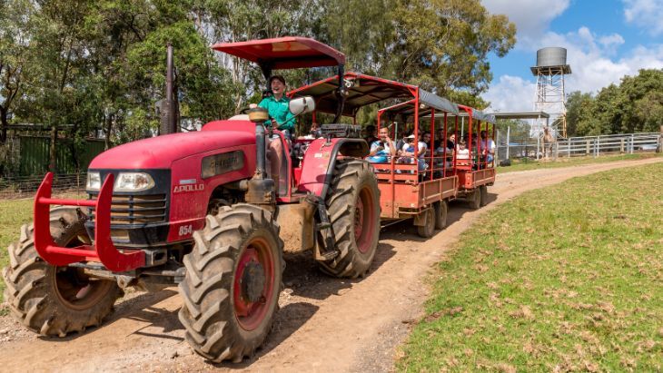 Calmsley Hill City Farm