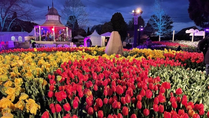 Tulip Time 2024
