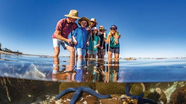 Southern Great Barrier Reef for Families