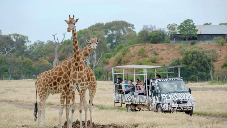 Werribee Open Range Zoo