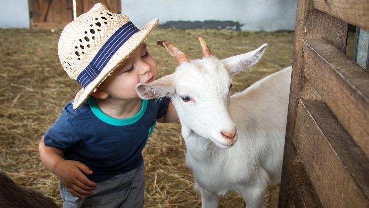 The best things to do in Melbourne for babies and toddlers