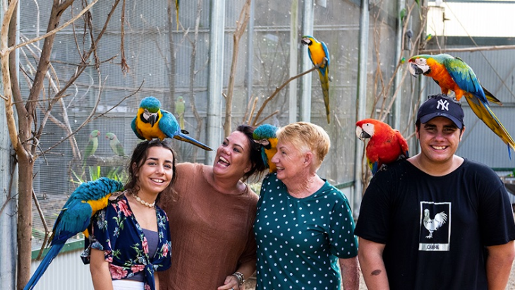 Maleny Botanic Gardens Aviary Tour