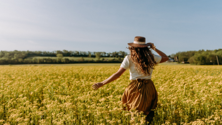 Photo canola fields 