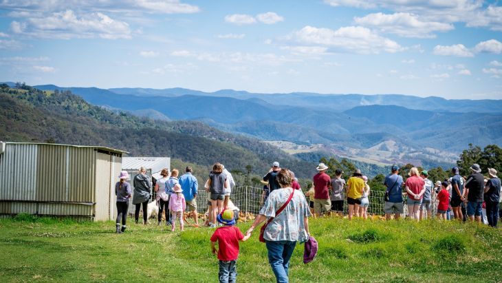 Farm Tours Port Macquarie