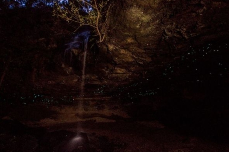 Horseshoe Falls Glow Worms