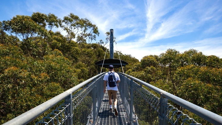 Visiting Minnamurra Rainforest