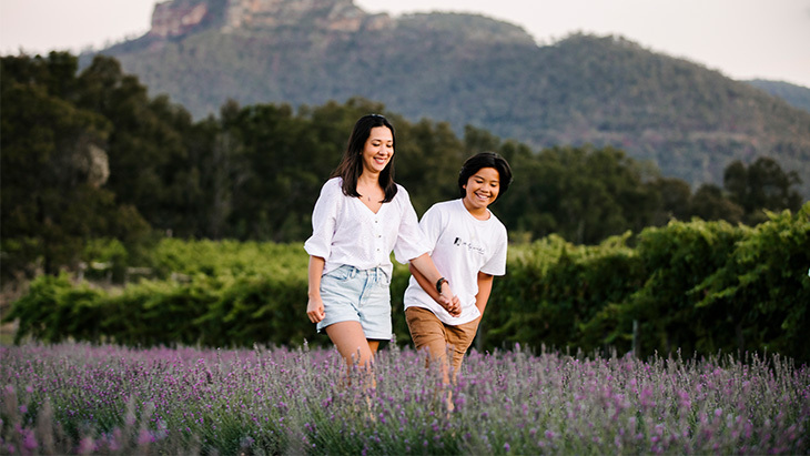 Lavender farms in NSW