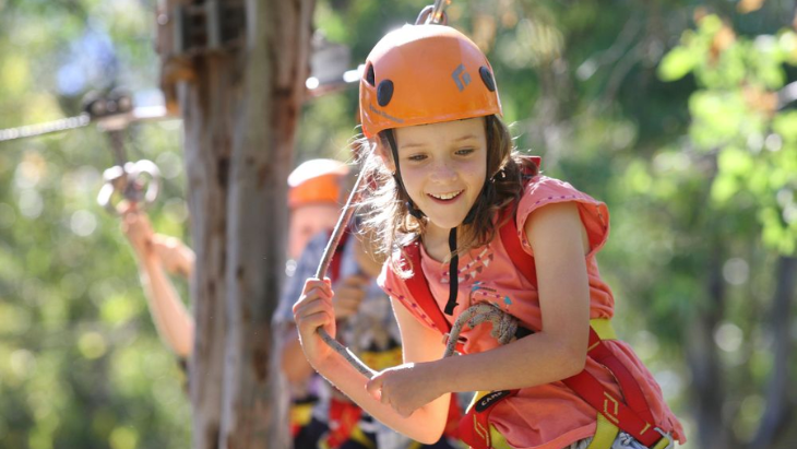 Treetop Adventures