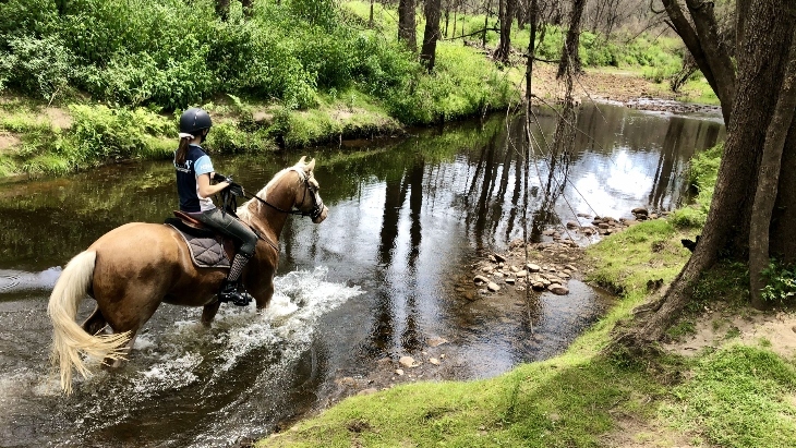 The best things to do in Kangaroo Valley