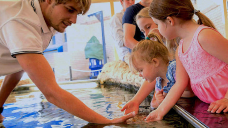 Aquatic Adventures at AQWA