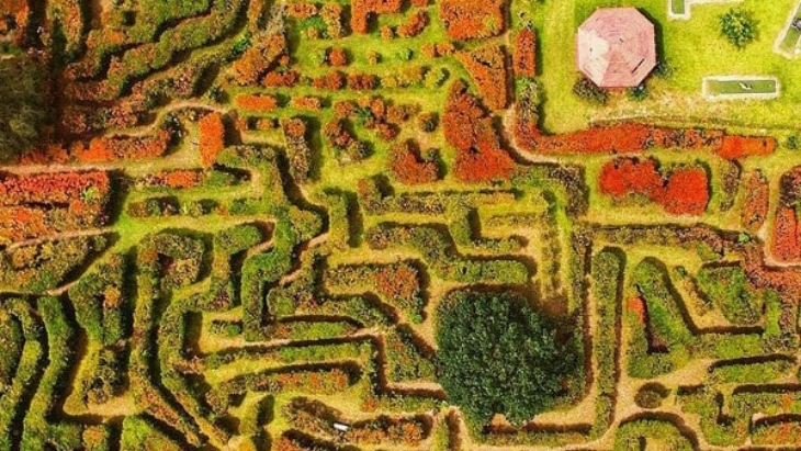 Mazes in Sydney