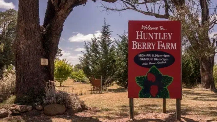 Huntley Berry Farm