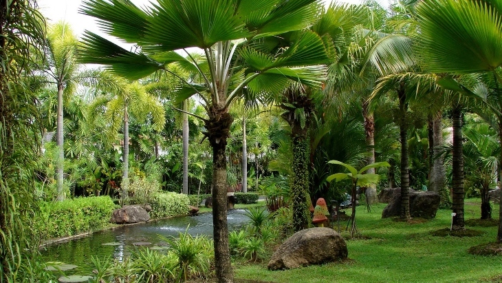 Phuket Botanic Garden