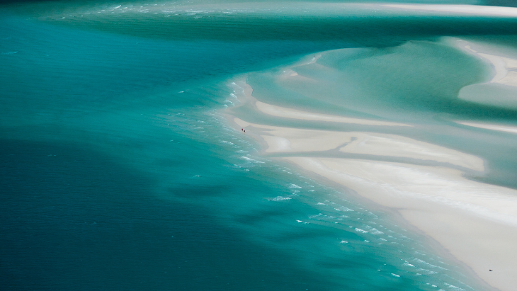 Dive into Cairns