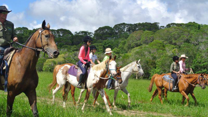 horse riding
