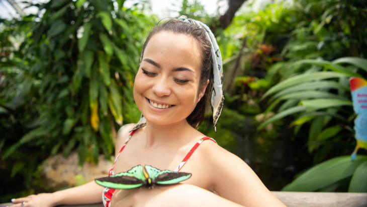 Butterfly Sanctuary