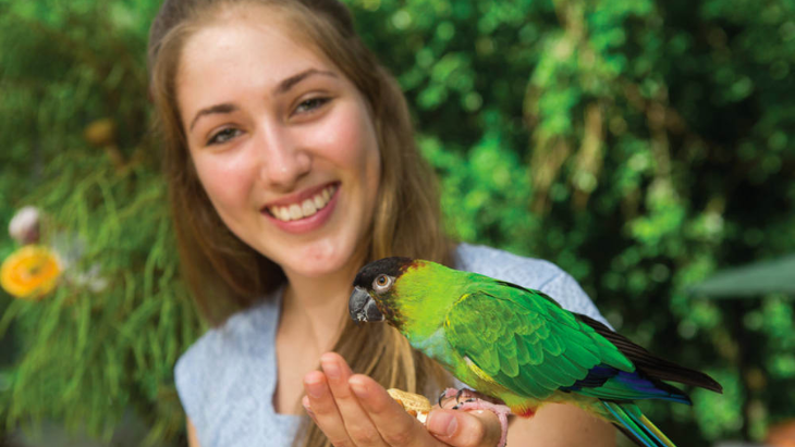 Bird world