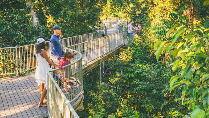 Cairns Tropical Skywalk