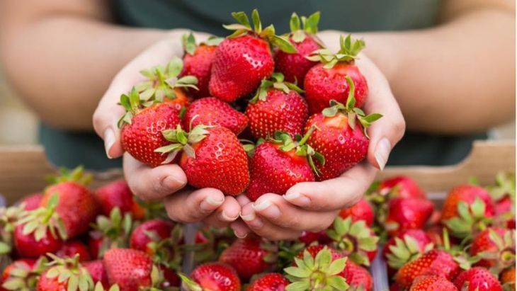 Kookaberry Strawberry Farm