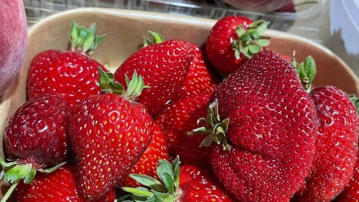 Where to pick your own strawberries near Melbourne