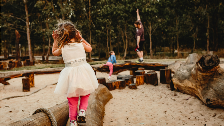 Lizard Log Playground