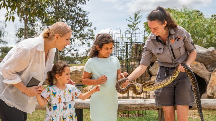 Sydney Zoo Encounters