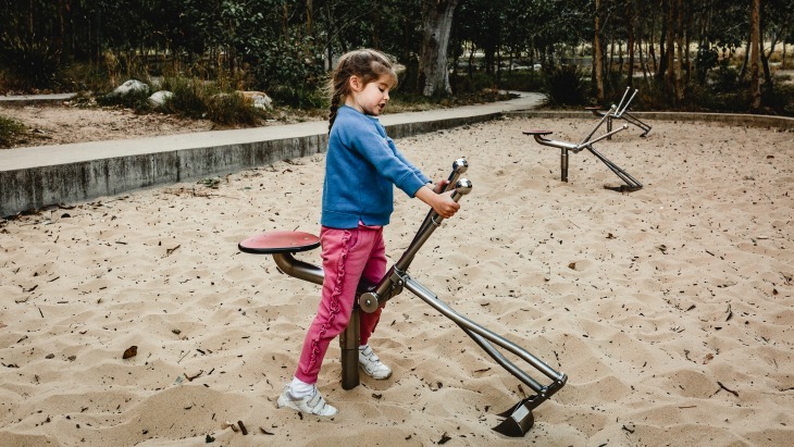 Lizard Log Playground