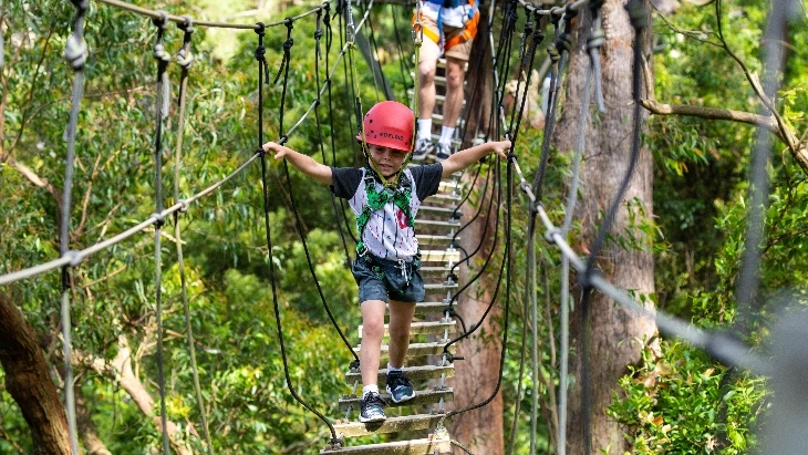 Illawarra Fly Treetop Walk