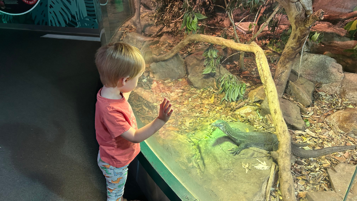 Sydney WILDLIFE park