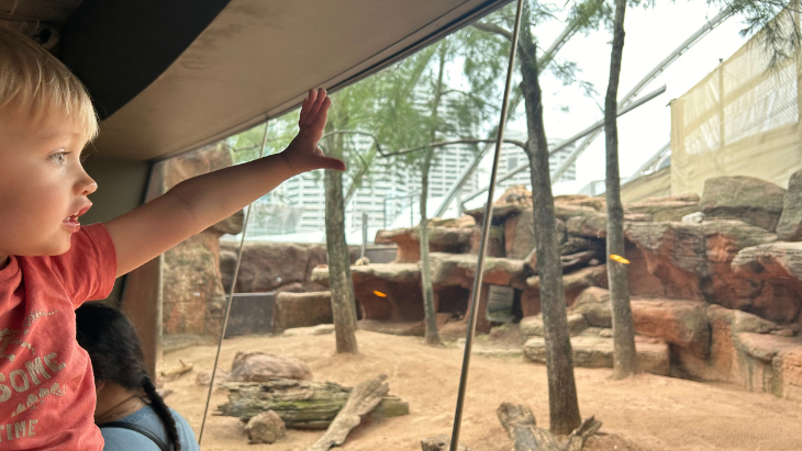 Sydney Wildlife Park