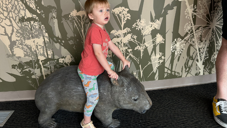 Riding on a Wombat