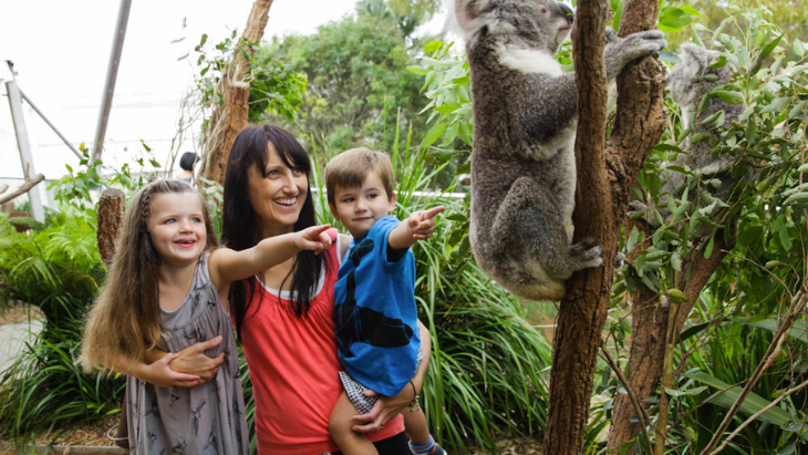 Sydney Attractions Pass