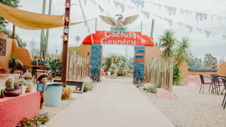 Cactus Country Garden Entry