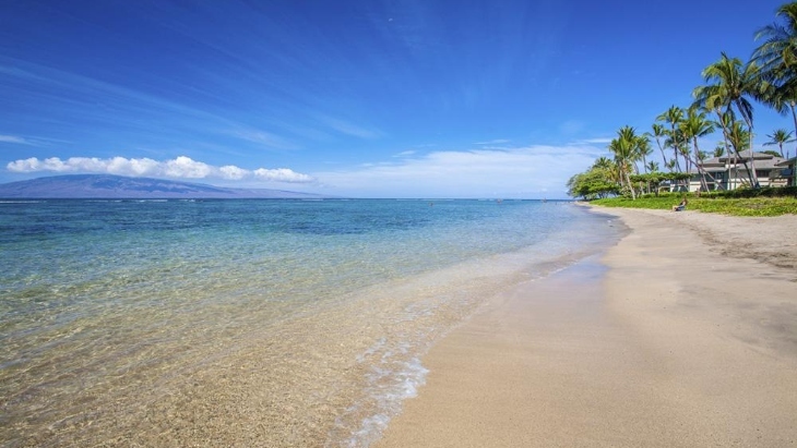 Baby Beach Maui