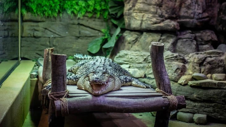 The best things to do in Canberra with kids