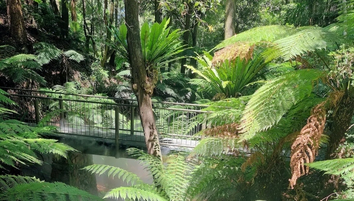 Australian National Botanic Gardens